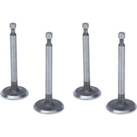 SABIR Kit de soupapes de moteur, 2 ensembles de soupapes d'admission antirouille en acier inoxydable pour moteurs à 2KW 2.5KW 3KW 168F GX160 (1/4)