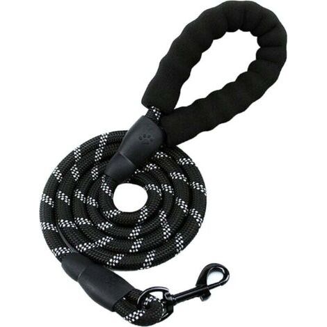 Laisse pour Chien en Nylon Réfléchissant 150 cm, Solide et Haute Qualité, Idéale pour Course, Jogging et Randonnée (1/4)