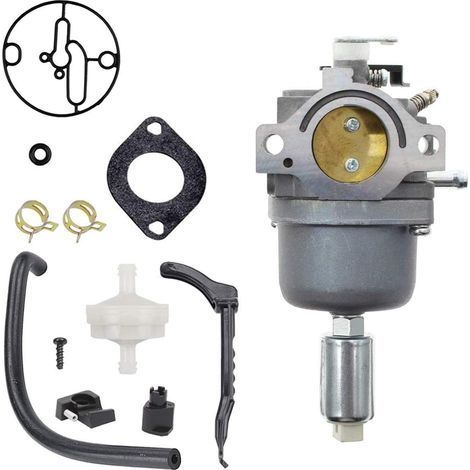 Carburateur pour Briggs & Stratton 287707, 287777, 310777, 690194 – Réf 799727 (1/5)