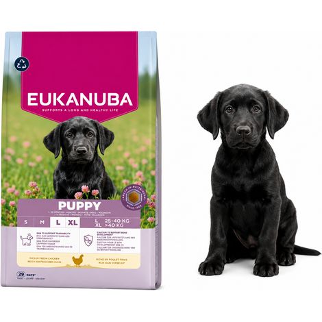 Alimento seco para cachorros de pollo grandes Eukanuba Dog Breeder, 18 kg