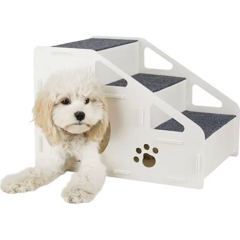 Rampa di accesso per cani