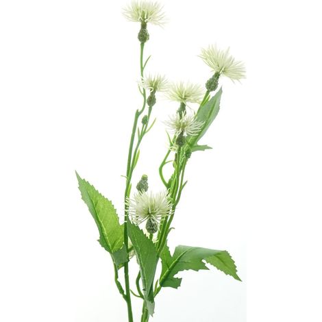 DPI – Mini-chardons artificiels crème – Fleur artificielle, hauteur env. 55 cm (1/2)