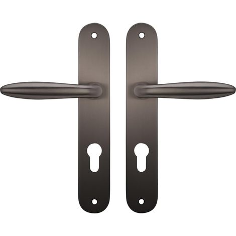 1 Paire De Poignées Sur Plaque - Zamak - Couleur Titane - Avec Ressort De Rappel Pour Porte D Entrée Symétrique 225x38cm