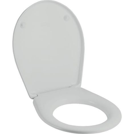 GE Renova Comprimo WC-Sitz pergamaon, Scharniere Edelstahl (1/3)