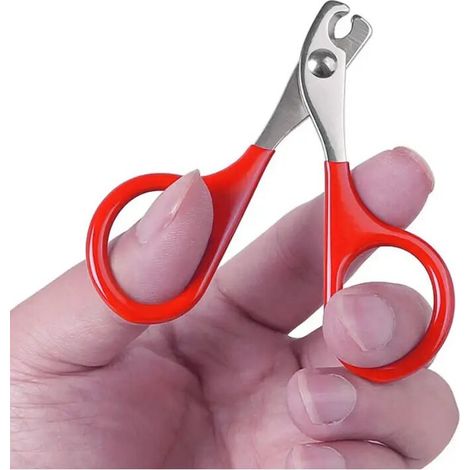 Ciseaux à ongles pour chat coupe-ongles pour chien de compagnie tondeuse à griffes d'orteil produits de toilettage professionnels pour petits chiots CatRed (1/2)