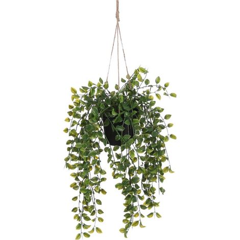 Mica Decorations Plante suspendue artificielle Vert H46xl20xL20cm (1/5)