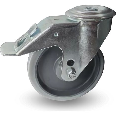 Roue pivotante, jeu de roues, frein, 125 mm, 110 kg, BPPE, 1255 Ecoforma (1/5)