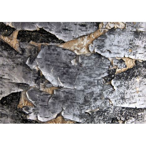 Fototapete Birkenrinde 150x105 cm Naturfarben Einfache Montage Exklusives Design (1/5)