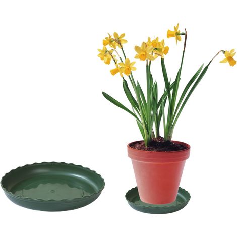 Soucoupe à roulettes pour pot de fleurs, vert militaire 23 mm, support mobile. (1/5)