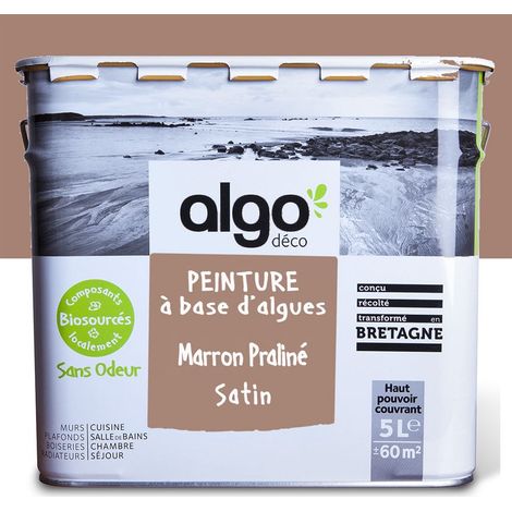 Peinture écologique Algo - Mat - Marron Praliné - 5L (1/5)