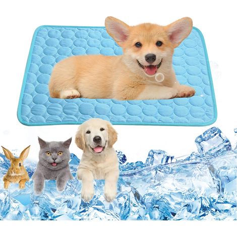 Tapis rafraîchissant pour animaux de compagnie, tapis rafraîchissant d'été lavable pour chiens, tapis rafraîchissant autonettoyant, pour la maison, les voyages ou la voiture, 62 x 50 (1/5)