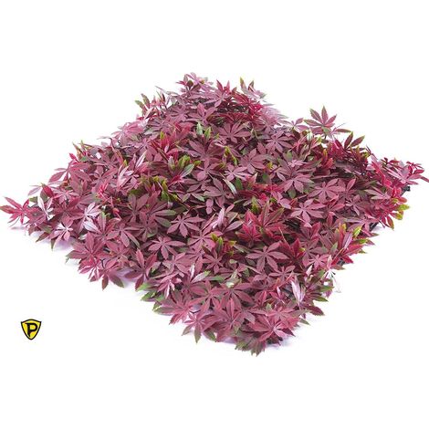 Siepe artificiale da Muro Pannello decorativo 50x50 cm. da parete – Tenax Arce – 1 pz (1/2)