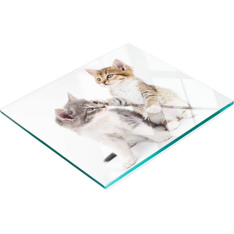 Tablero decorativo multifuncional de vidrio templado con dos gatitos, 60x52 cm.