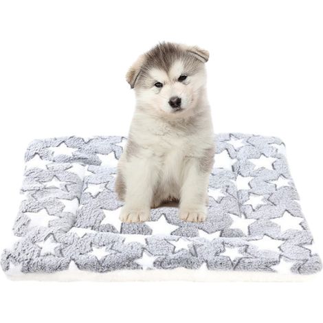 1 lit pour chien réversible, polaire douce, 75x55 cm, adapté chiens petits à moyens, usage cage/voiture/maison (1/5)