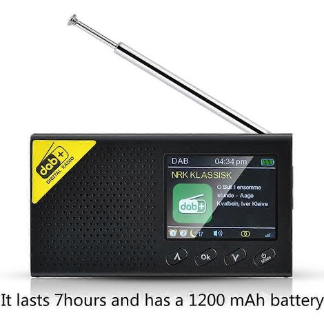 Eingebauter 1200-mA-3,7-V-Akku, DAB-Empfänger, FM-Frequenzbereich 87,5–108 MHz