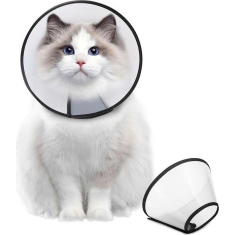 Collier conique réglable après chirurgie, collier de convalescence confortable pour chiens de grande, moyenne et petite taille, collier élisabéthain en plastique pratique (1/4)