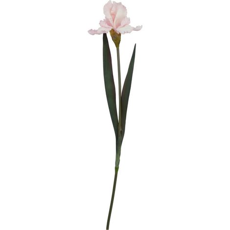 The Natural Garden Collection Fringed Iris - Artificial Flower (Single Stem) - Plastic - L13 x W13 x H83 cm - Pale Pink