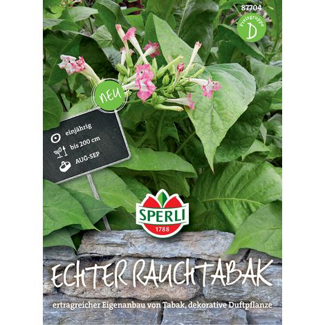 Sperli Echter Rauchtabak - Blumensamen (1/3)