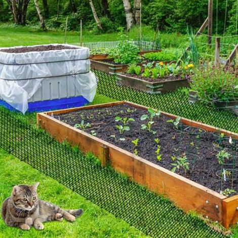 Bandes anti-piquants anti-chat, anti-épine de chat répulsif pour chat jardin extérieur chat chien en plastique clou chat scat tapis pour légumes plantes jardin(200x12x1.8cm) (1/5)
