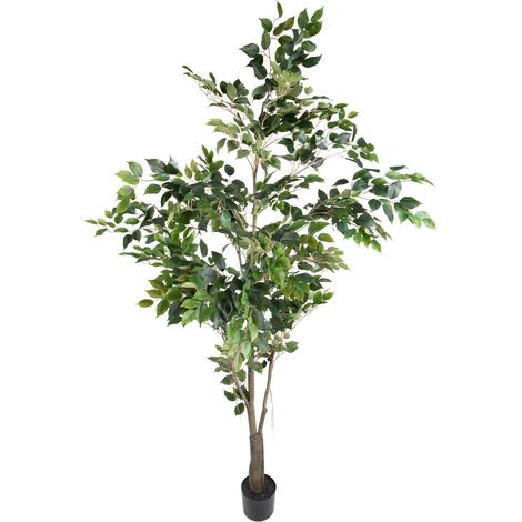 Pianta Artificiale Ficus con Vaso H 213 cm (1/5)
