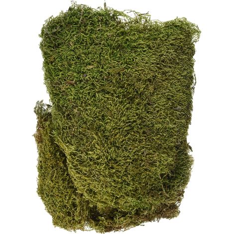 Rayher Cucina, Verde/Marrone, 29 x 23 x 5 cm