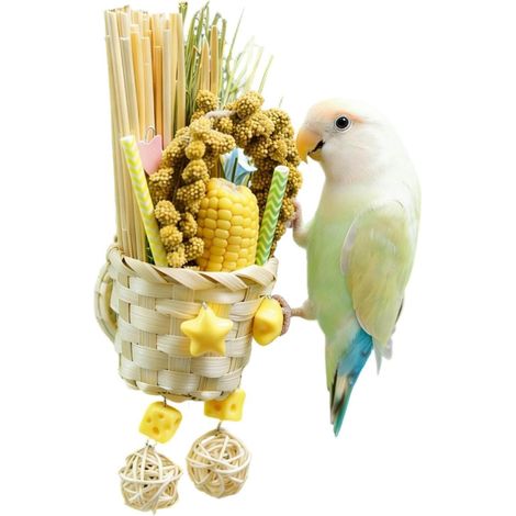 à mâcher pour calopsitte Jeux décoratifs à ronger et déchiqueter  Accessoires pour cage d'oiseau Pour perruches, conures, intérieur ou extérieur, fenêtre, patio, balcon, jardin (1/5)