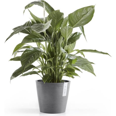 VASO AMSTERDAM 20x17,5CM GRIGIO (1/5)
