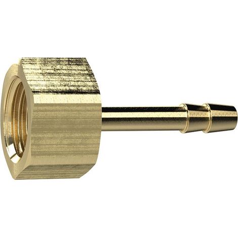 Connettore per tubo flessibile, in ottone, filettatura interna G 1/4", diametro interno del tubo flessibile 6 mm RIEGLER