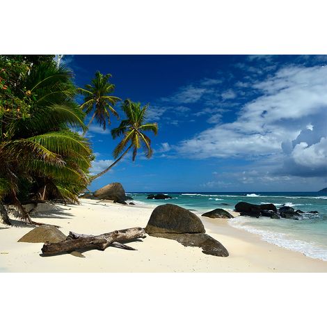 Papier peint panoramique nature palmier Tapisserie panoramique mer pour salle de bain Papier peint panoramique paysage Seychelles (1/2)