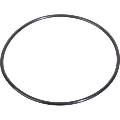 Anello o-ring 4450 113.89 CARRARO CI028516