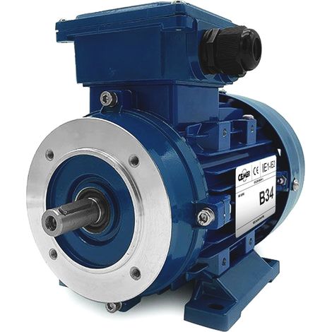 Moteur électrique Triphasé 230/Triphasé 400V 0,55 kW 3000 tr/min - MS7122B34 Bride B34 - Bobinage cuivre (1/4)