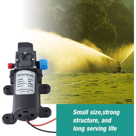 Pompe à eau auto-amorçante à membrane électrique miniature 12 V 60 W avec pressostat (1/5)