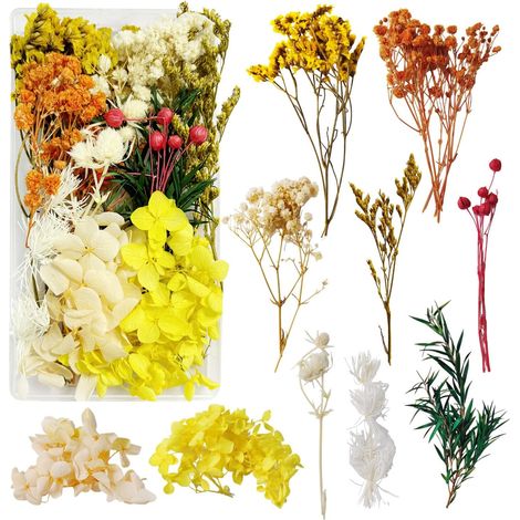 Fleurs Séchées Fleur Sechees Decoration Fleurs Sechees Naturelles Fleurs Sechees Fleurs Séchées pour Resine Epoxy Vraies Fleurs Pressées Séchées pour la Décoration de Bricolage (Jaune) (1/5)
