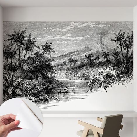 Papier peint adhésif décoratif pour chambre et salon Design moderne à poser facilement Panorama exotique 152x104 cm (1/5)