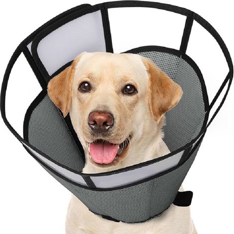 1 collier élisabéthain souple pour chien, cône post-opératoire ajustable, convalescence, petit et moyen chien (1/5)