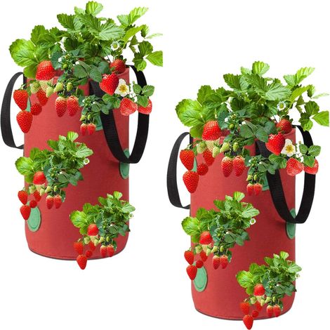 Sac De Plantation Fraises,2 Pièces Sac Culture Fraises,Sacs de Plantation de Jardin,Sac de Culture de Fraises en Non Tissé, Sac à Fraisiers,pour Fraises, Herbes, Fleurs (3Gallon, 20x35CM) rouge