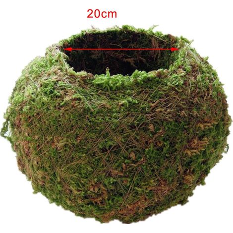 Pot De Fleur Créatif En Boule De Mousse, Jardinière, Support De Plante Bonsaï, Jardin De Maison, 18cm (1/5)
