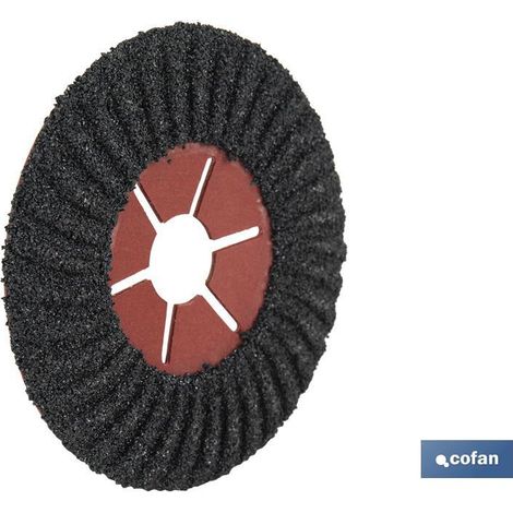 Disque abrasif cofan g24 180 mm longue durée (1/4)
