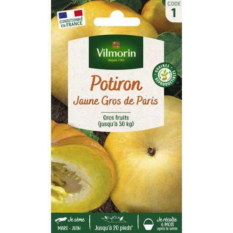 Potiron Jaune Gros de Paris Vilmorin (1/2)