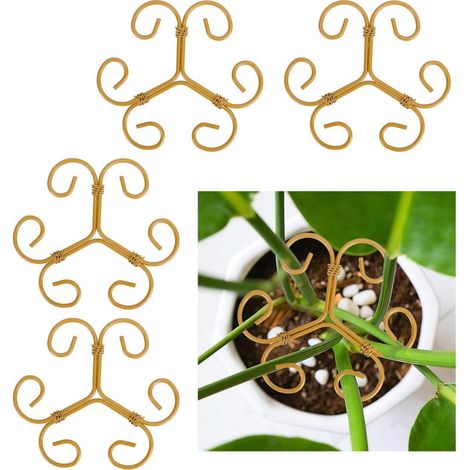 4 supports de tige en fer pour Monstera, pour plantes d'intérieur, anneaux de support pour tiges de plantes. (1/5)