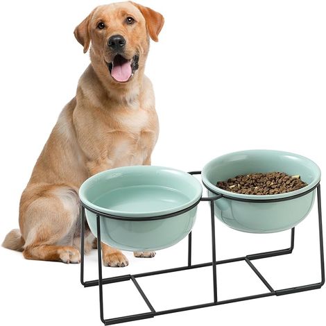 Gamelle Surélevée pour Chien en Céramique - Double Bols pour Nourriture et Eau avec Support Antidérapant en Métal - Idéale pour Chiens Moyens - Verte - 2 x 1600 ML (1/5)