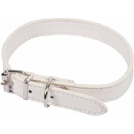 Collier pour Chien "Design Uni" 40cm Blanc
