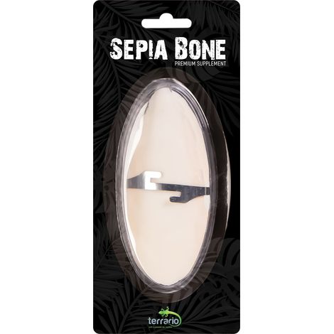 Terrario Sepia Bone - sepia completa con asa (1/5)