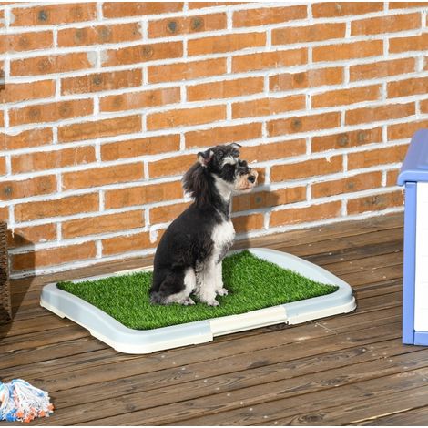 Baño para perro y cachorro de 2 capas con césped sintético, 63 x 48,5 x 6 cm, verde (1/5)