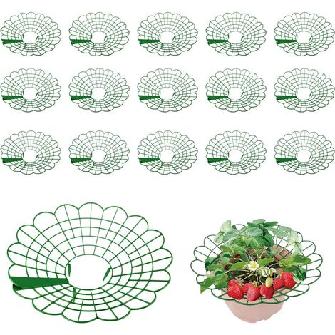 16 soportes para fresas, de plástico extraíbles, verdes, para proteger las fresas del polvo y los caracoles. (1/5)