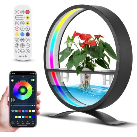 LIFCAUSAL Fontaine LED de Table avec Anneau Lumineux Contrôlable par App - Minuterie 1/2/3/4H, Spectre RGB Complet pour Décoration Aquatique Salon/Chambre/Bureau (1/5)