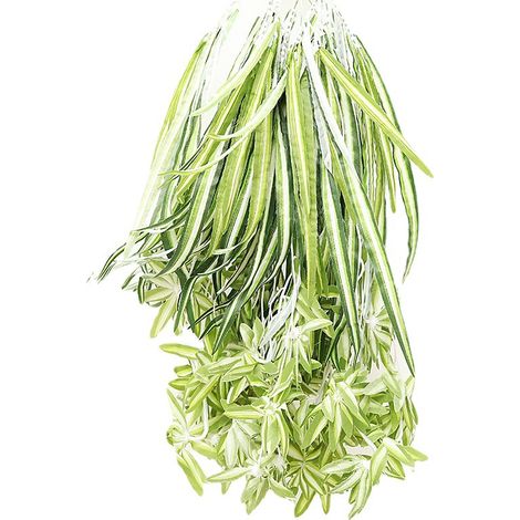 Lot de 2 plantes araignées artificielles, orchidées artificielles suspendues en chlorophylle en soie, décoration suspendue en rotin, convient pou (1/4)