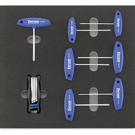 Modul 2/3 leer 2017 Quergriff Torx FORUM