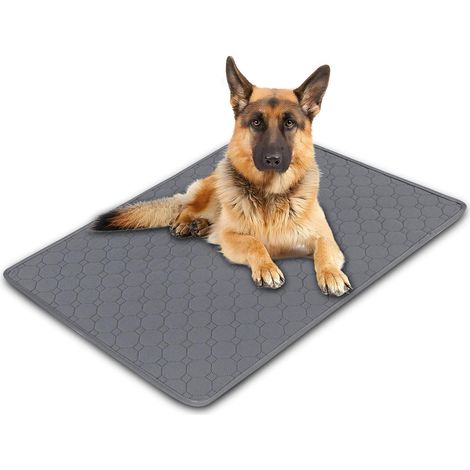 1 Pièce 70x100 cm Alese Chien Réutilisables pour Chiots, Alèse Chien pour Incontinence Lavables, Tapis Absorbant Chien, Absorption Rapide Paw Pad pour Chiens, Chats, Cobayes (1/5)