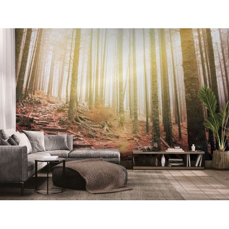 Papier peint Nature – arbres secs au coucher du soleil - 150 x 250 cm (1/2)